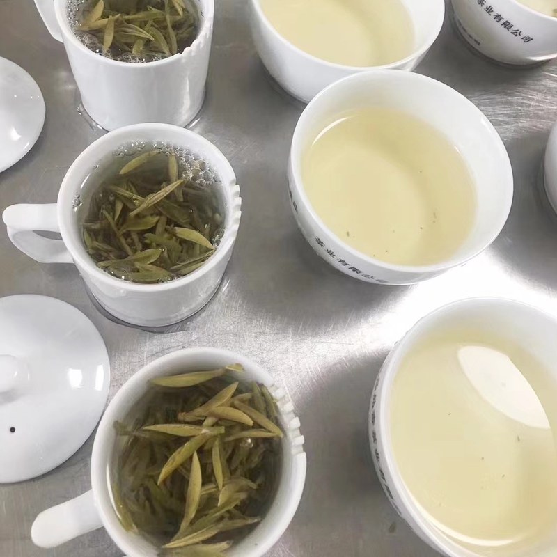 栖品荒野白毫银针